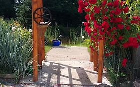 Bacio-Bacio Apartamenty